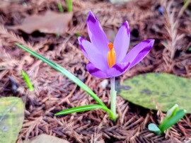 Jön a tavasz 02.13.