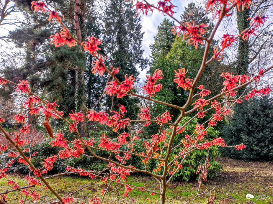 Jön a tavasz 02.13.