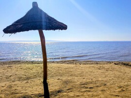 Kissé szeles, tavaszias időjárás 02.28.