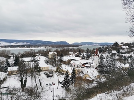 losszy fotója