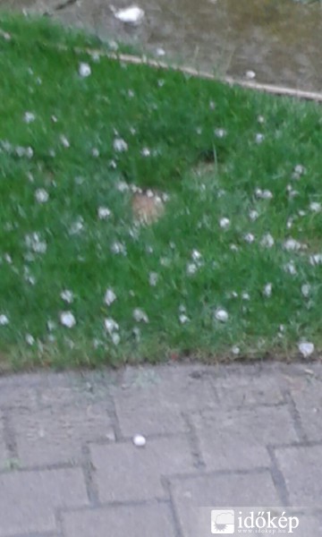 Tököl