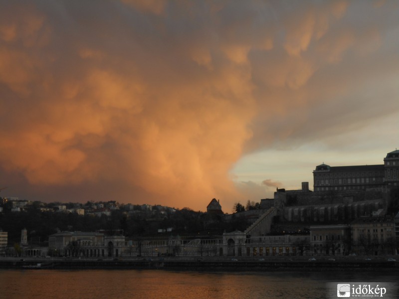 Budapesti mamma