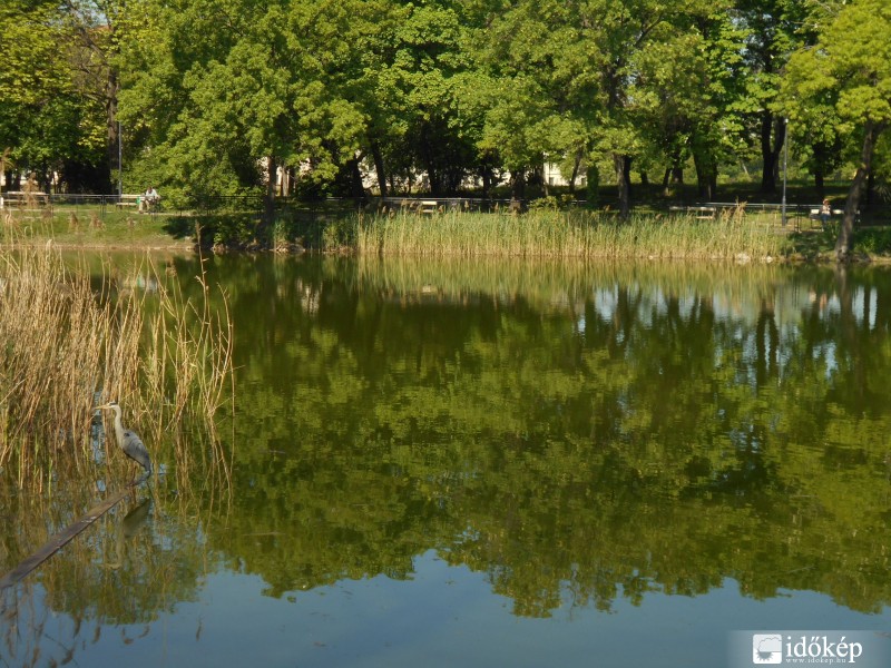 Az Orczy-park őre