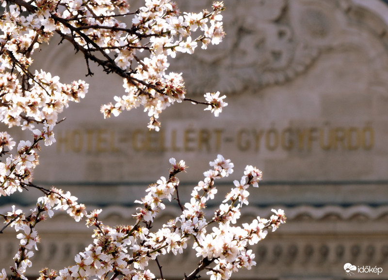 Hotel-Gellért-Gyógyfűrdő