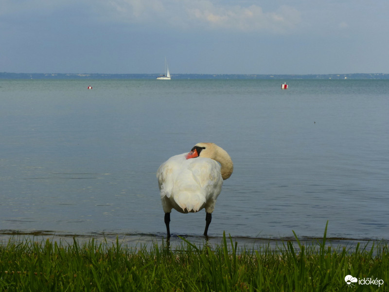 Pihenő