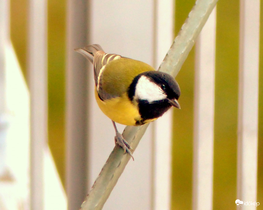 Nagyon hideg napra ébredtünk! Mondd csak, kapok valamit?