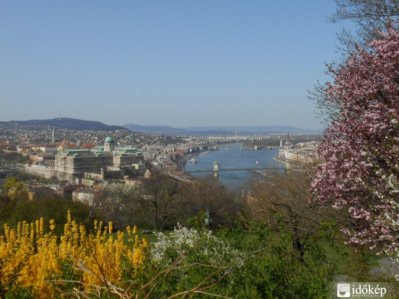 Virágos budapesti panoráma