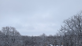 Olaszliszka