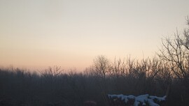 Olaszliszka