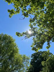 Budapest I.ker - Vár