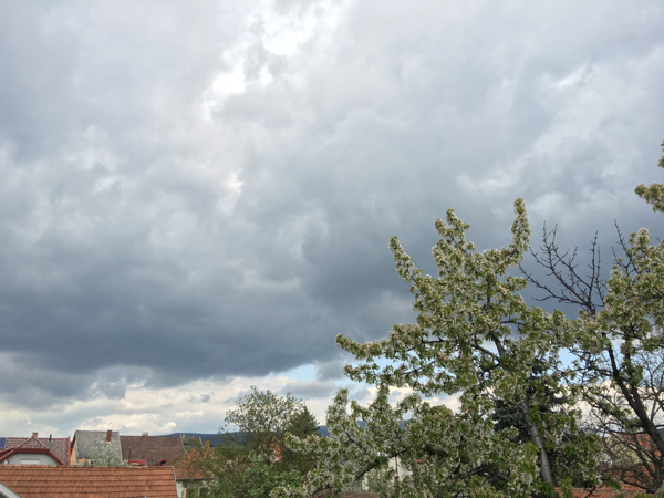 Gyöngyös