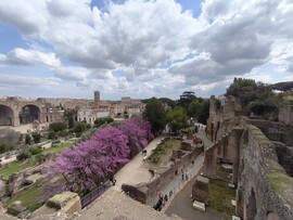 Roma