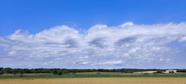 Felhők