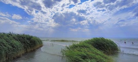 Strandolós