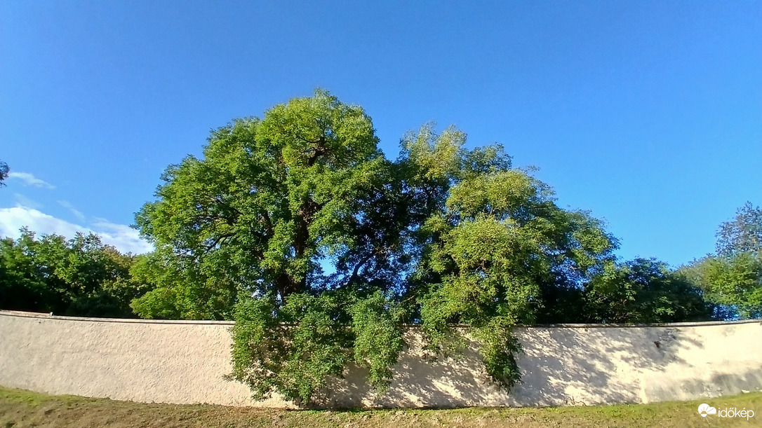 Bajna