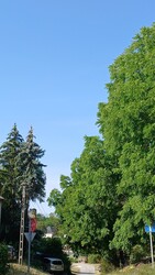 Bajna