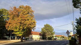 Bajna