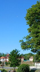 Bajna