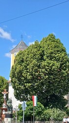 Bajna