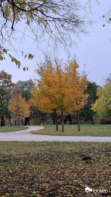 Bajna