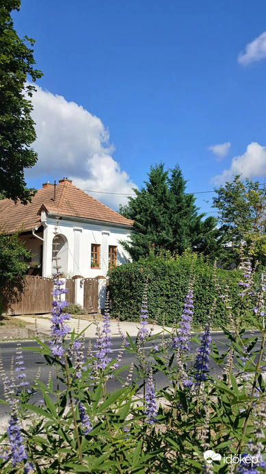 Bajna