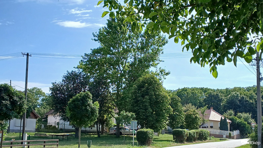 Bajna