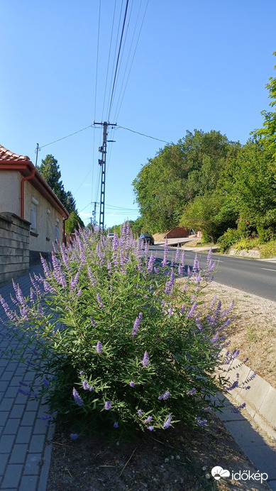 Bajna