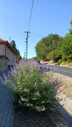 Bajna