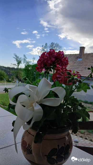 Bajna