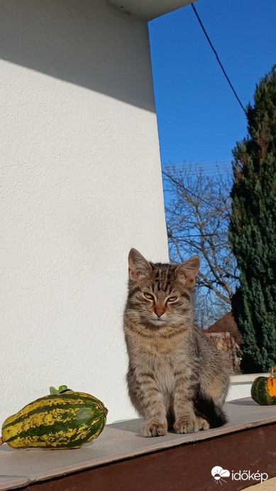 Bajna