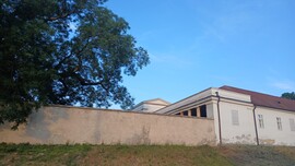 Bajna