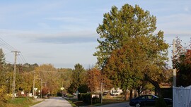 Bajna