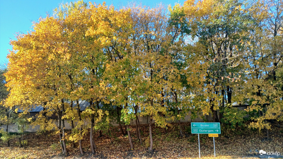 Bajna