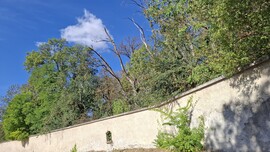 Bajna