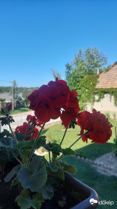 Bajna