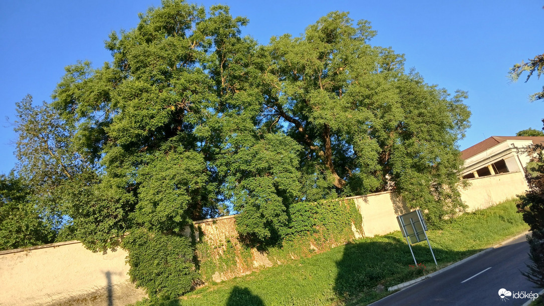 Bajna