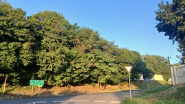 Bajna