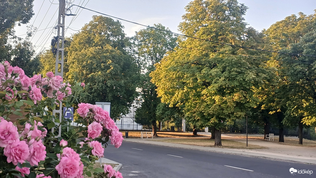 Bajna