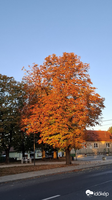 Bajna