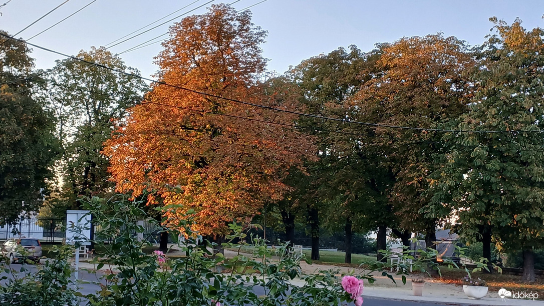 Bajna