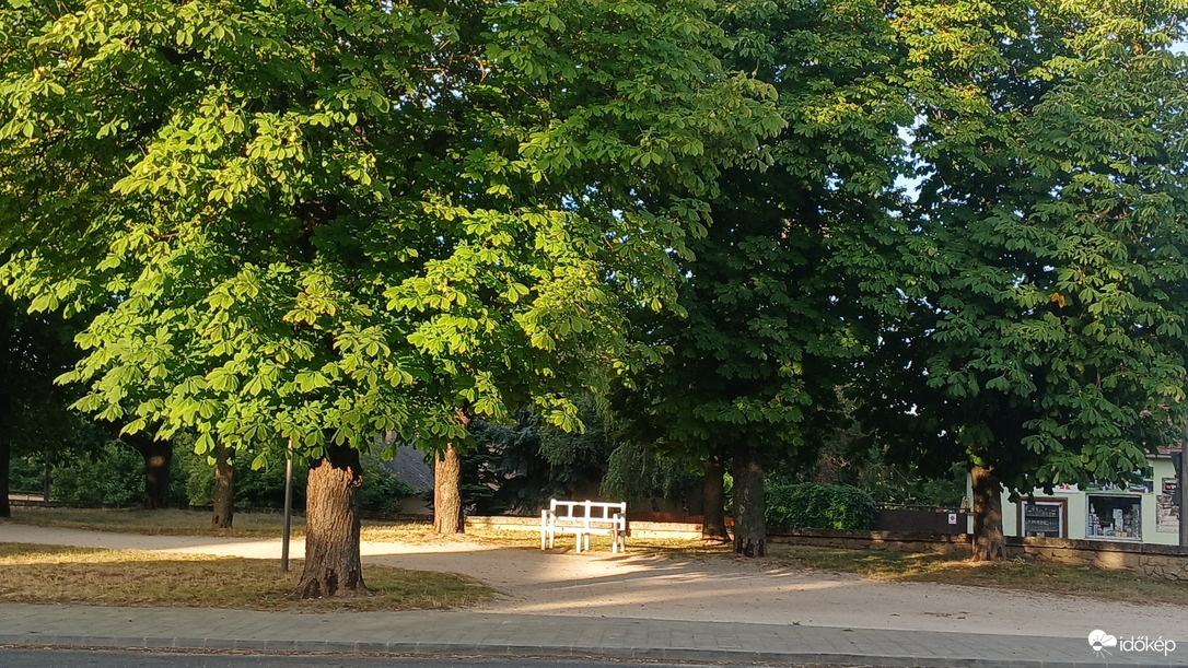 Bajna