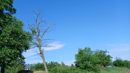 Bajna