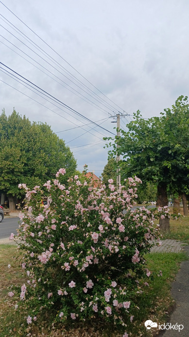 Bajna