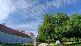 Bajna