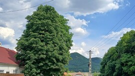 Bajna