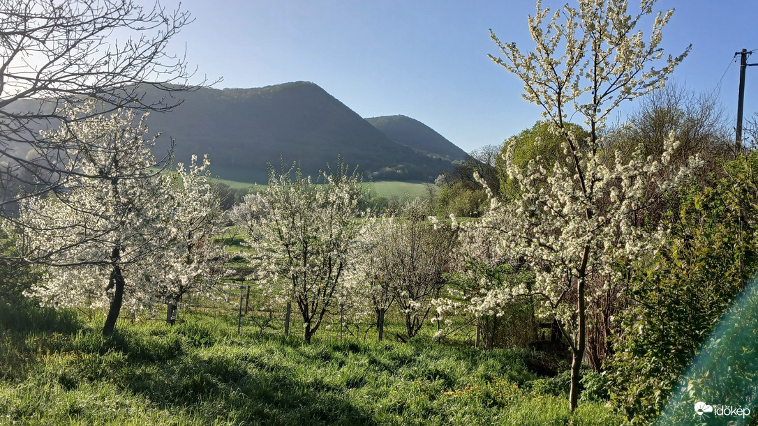 Bajna