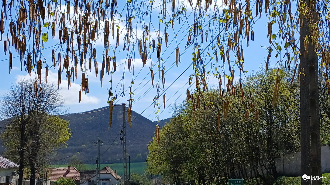 Bajna