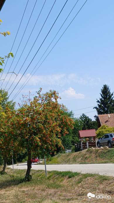 Bajna