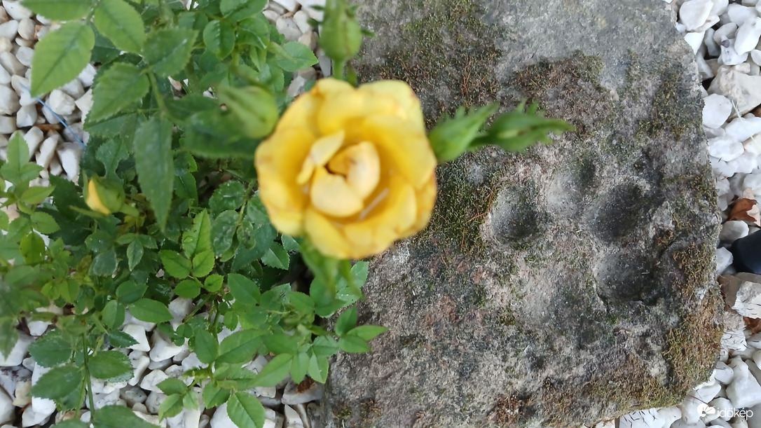 Bajna