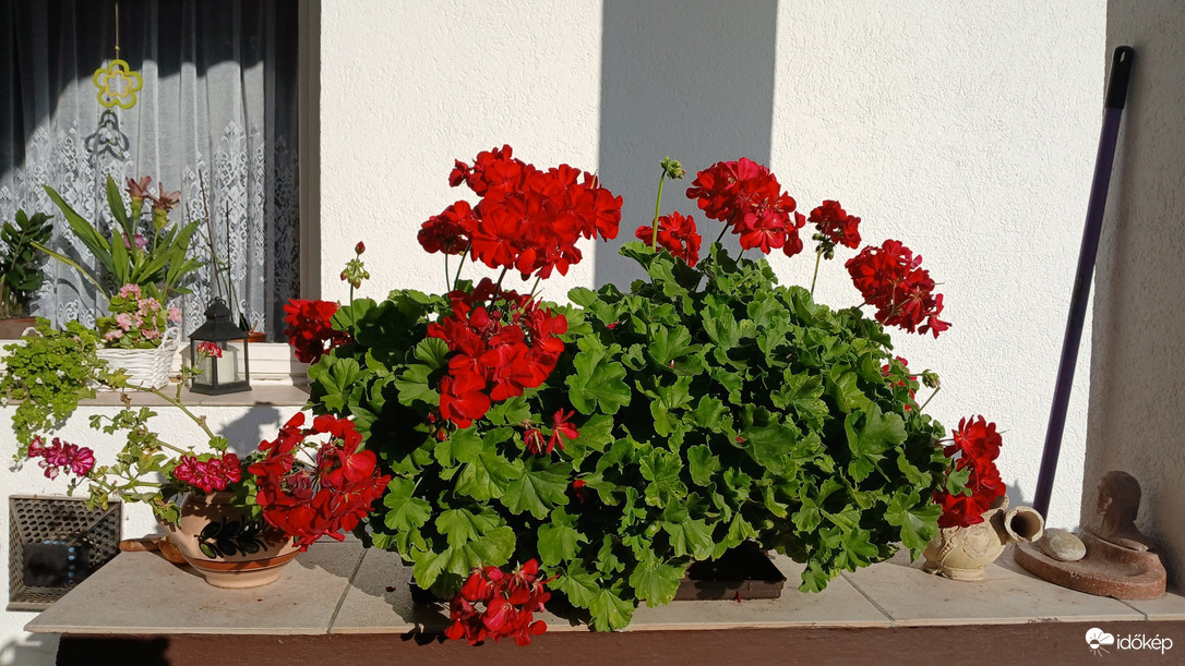 Bajna